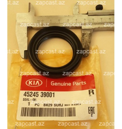 Hyundai elantra (XD) 2000-2006 salnik qranat 